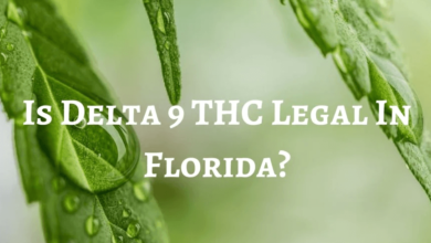 delta 9 legal in florida