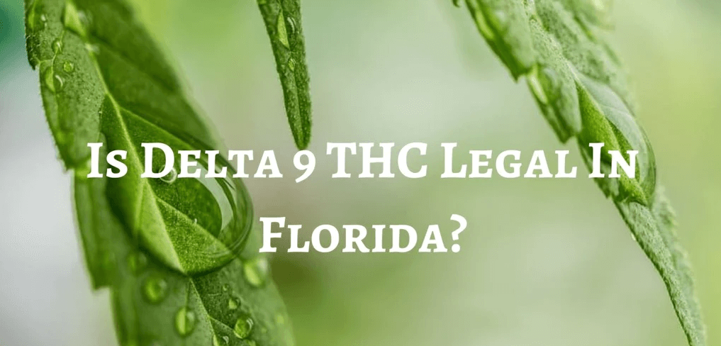 Is Delta 9 Legal In Kentucky delta 9 legal in florida